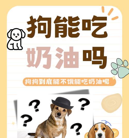 母狗的饮食需求（为新妈妈提供健康饮食）(图1)