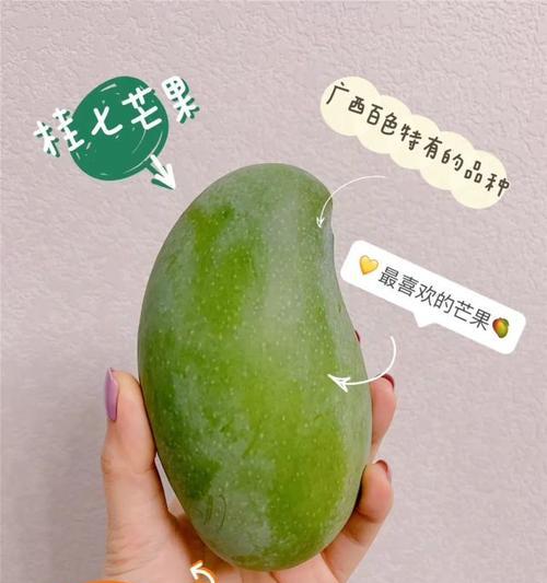 探究以305属于什么品种的奥秘（解读305品种的特征与应用领域）(图2)