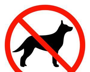 狗流红色眼泪的原因及治疗方法（了解为什么狗会流红色眼泪以及如 - 新生家伴