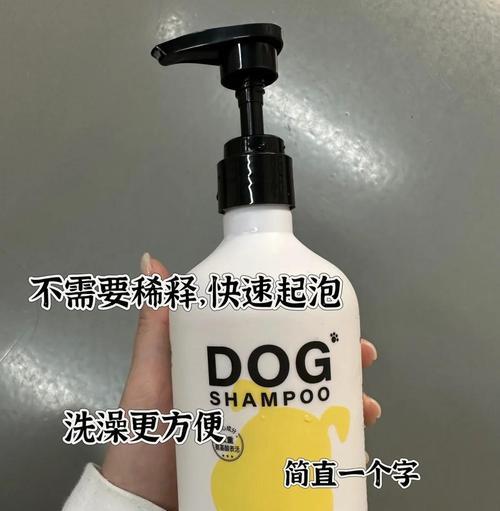 泰迪冬季洗澡频率多久合适?(泰迪洗澡,关键是保持干净与健康!)(图3) 泰迪冬季洗澡频率多久合适?(泰迪洗澡,关键是保持干净与健康!)(图3)