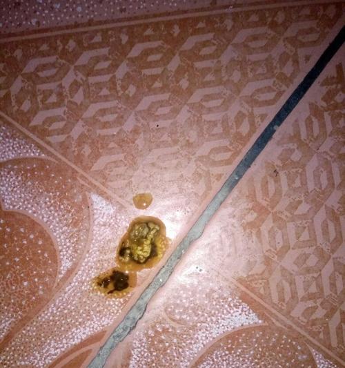 狗狗肺炎输液需要多长时间?(了解狗狗肺炎输液的治疗时长与注意事项)(图3) 狗狗肺炎输液需要多长时间?(了解狗狗肺炎输液的治疗时长与注意事项)(图3)