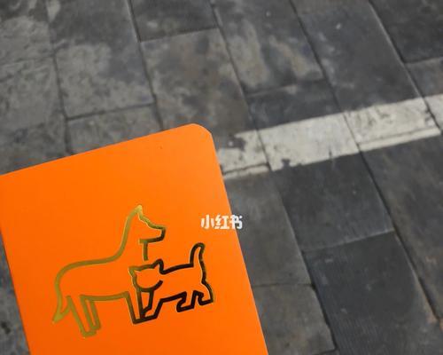 小狗第三针后多久能洗澡?(洗澡时间安排及注意事项)(图2) 小狗第三针后多久能洗澡?(洗澡时间安排及注意事项)(图2)