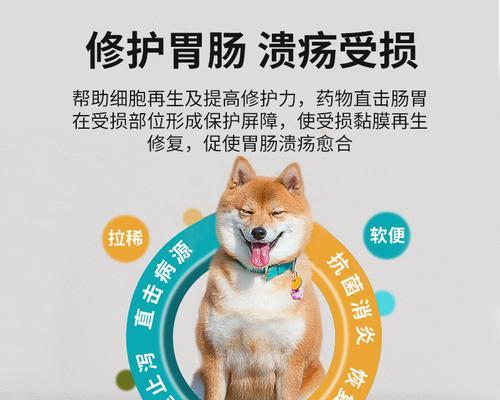 药物在犬胃中的消化速度（药物消化过程及影响因素分析）(图2)