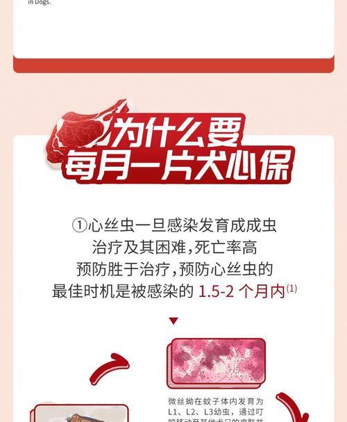 狗吃了打虫药多久见效？（狗吃打虫药的关键事项及时间预期）(图2)