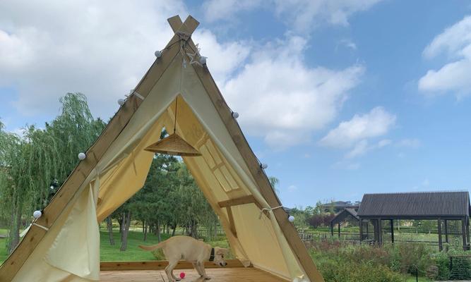 威海宾馆狗友聚集地(探索威海宾馆文化,与毛茸茸的小伙伴一起入住畅游)(图3) 威海宾馆狗友聚集地(探索威海宾馆文化,与毛茸茸的小伙伴一起入住畅游)(图3)