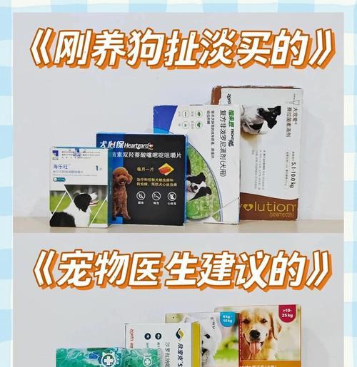 狗吃了打虫药多久见效？（狗吃打虫药的关键事项及时间预期）(图1)