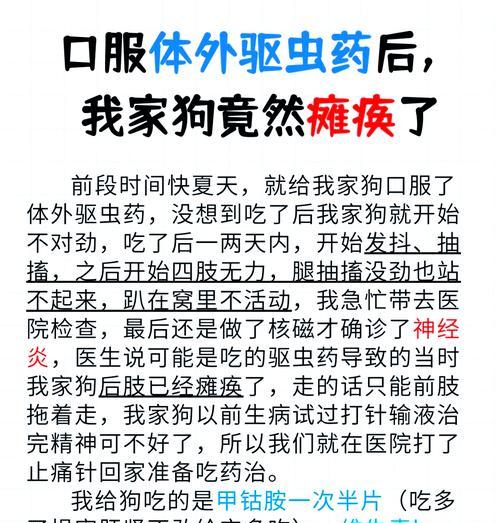 狗吃了打虫药多久见效？（狗吃打虫药的关键事项及时间预期）(图3)