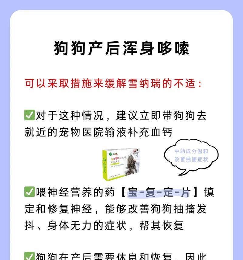 泰迪狗产后多久能走路？（产后恢复期、逐渐行走的重要性和注意事项）(图3)