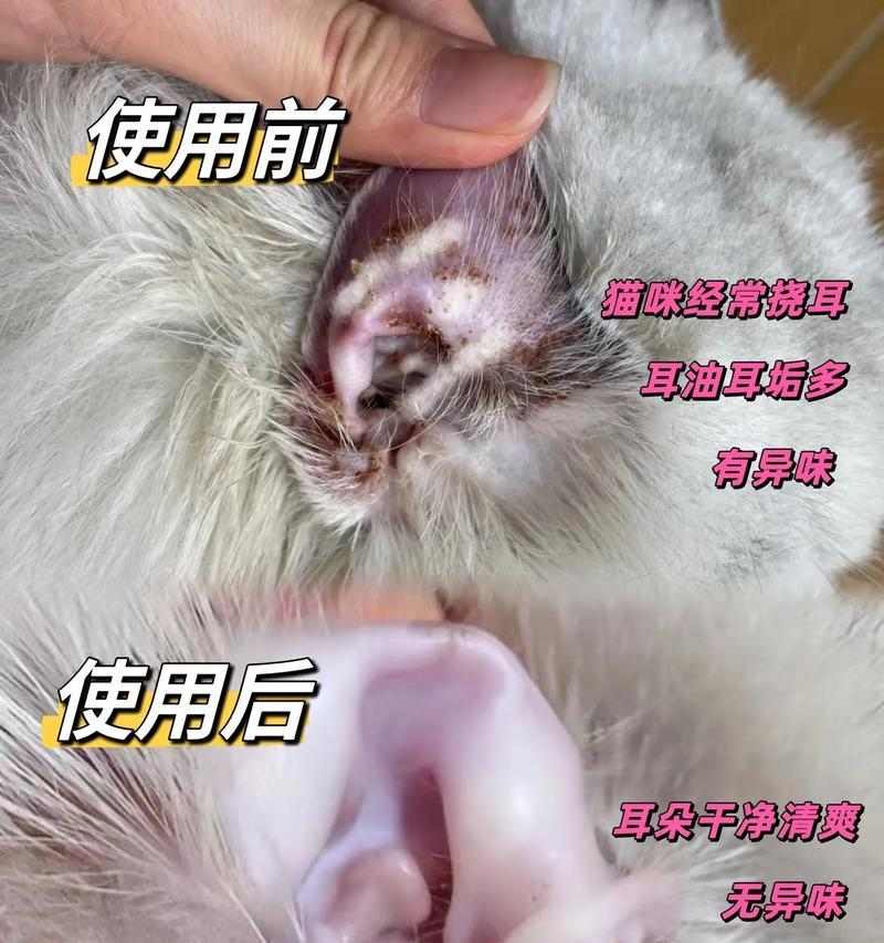 如何选择适合治疗狗狗耳螨的药物?(经验分享及措施指南,从牌子到使用技巧一应俱全)(图3) 如何选择适合治疗狗狗耳螨的药物?(经验分享及措施指南,从牌子到使用技巧一应俱全)(图3)