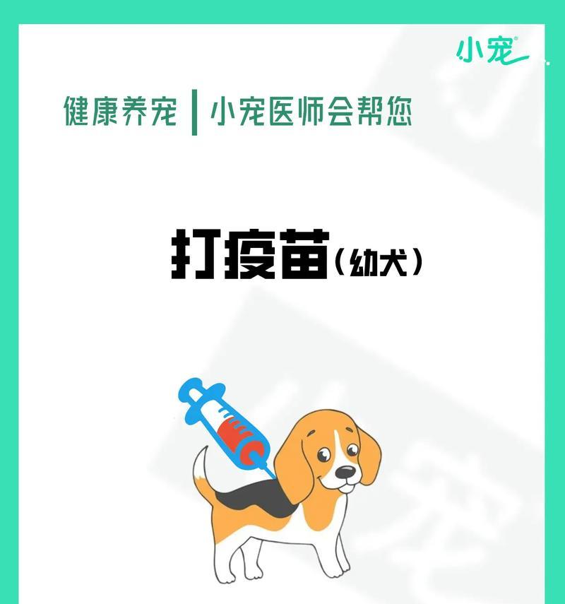 新买回家的狗狗需打疫苗,关爱它的健康从第一针开始(了解狗狗疫苗接种时机,让它免受疾病侵害)(图2) 新买回家的狗狗需打疫苗,关爱它的健康从第一针开始(了解狗狗疫苗接种时机,让它免受疾病侵害)(图2)