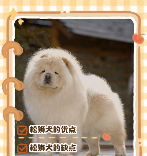 松狮美容秘籍（打造宠物造型的关键——松狮