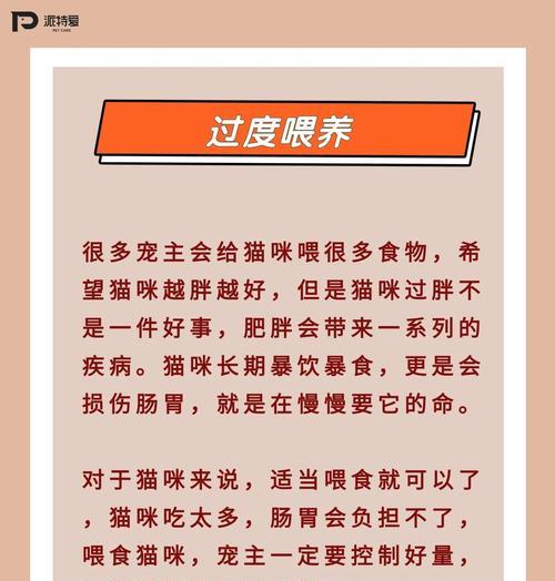 四个月大的猫什么时候洗澡合适？（宠物猫洗澡频率与方法的探讨）(图2)