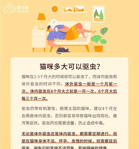 四个月大的猫什么时候洗澡合适？（宠物猫洗澡频率与方法的探讨） - 新生家伴