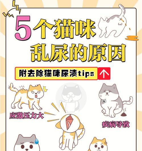 揭开猫咪吐绿水之谜（探究猫咪消化系统问题的原因及处理方法） - 新生家伴