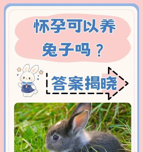 如何正确饲养熊猫兔(以熊猫兔饲养方式为主题,让你成为专业养兔达人)(图2) 如何正确饲养熊猫兔(以熊猫兔饲养方式为主题,让你成为专业养兔达人)(图2)