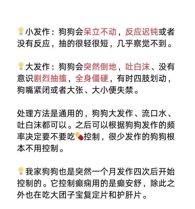 小狗频繁呕吐的原因及解决方法（揭开小狗呕吐背后的秘密，让它重拾健康生活）(图2)