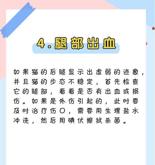 探秘猫咪走路不稳的奥秘（解析猫咪身体结构，揭开走路不稳的秘密）(图1)