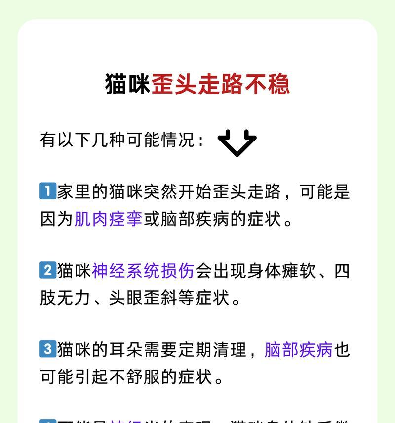 探秘猫咪走路不稳的奥秘（解析猫咪身体结构，揭开走路不稳的秘密）(图2)