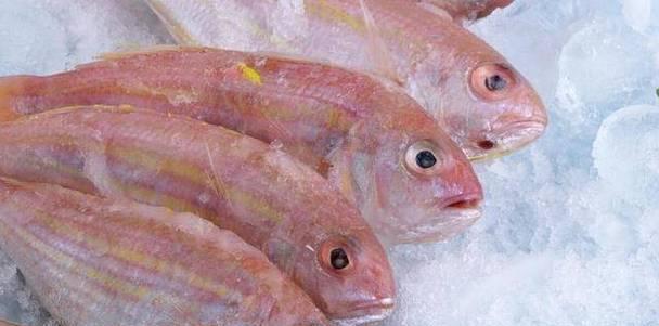 鱼类的食物来源及多样化饮食习惯（探索鱼类在自然环境中的食物选择和摄入方式）(图3)