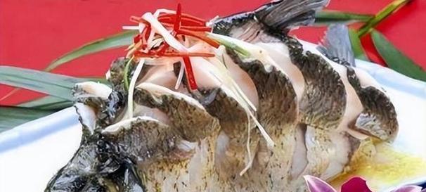 鱼类的食物来源及多样化饮食习惯（探索鱼类