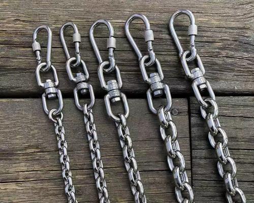 以德牧栓什么链子？（探寻最适合德牧的栓链