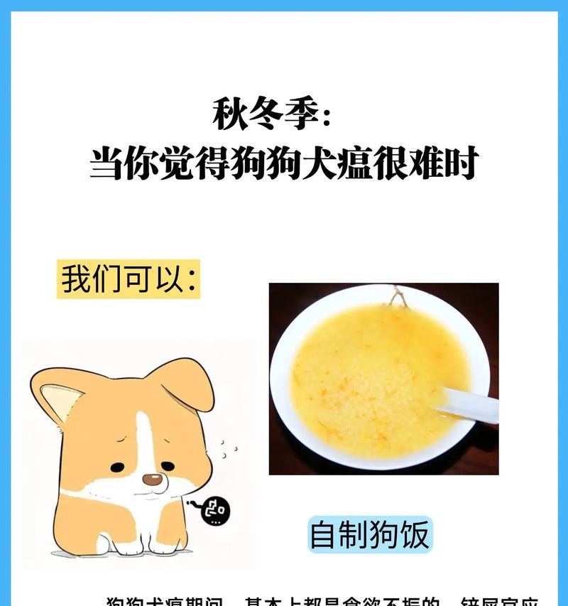 探讨狗的犬瘟潜伏期（犬瘟潜伏期长短揭秘！掌握关键信息保护你的爱犬健康）(图3)