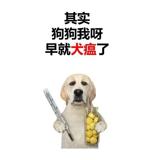 探讨狗的犬瘟潜伏期（犬瘟潜伏期长短揭秘！掌握关键信息保护你的爱犬健康） - 新生家伴