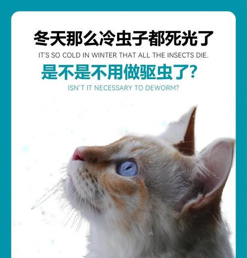 小狗到家后多久能进行驱虫？（小狗驱虫的最佳时间及注意事项）(图1)