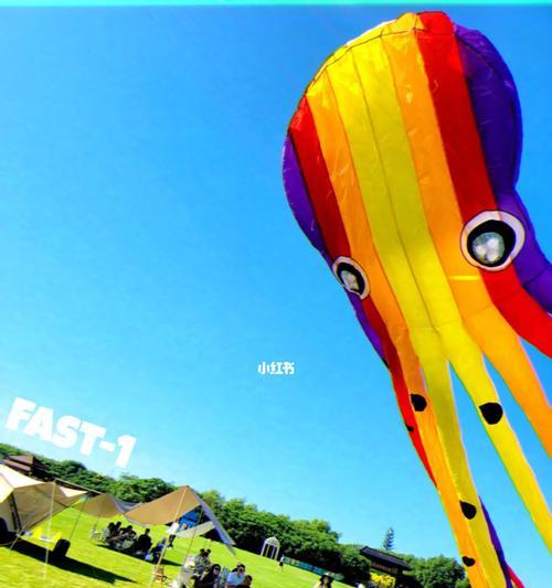 飞盘的多功能应用(探索飞盘的创意用途,发现惊喜无限!)(图3) 飞盘的多功能应用(探索飞盘的创意用途,发现惊喜无限!)(图3)