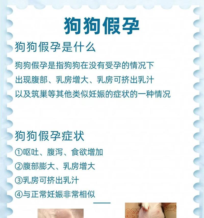 母狗怀孕的症状及注意事项(探究母狗怀孕的迹象与保健要点)(图2) 母狗怀孕的症状及注意事项(探究母狗怀孕的迹象与保健要点)(图2)