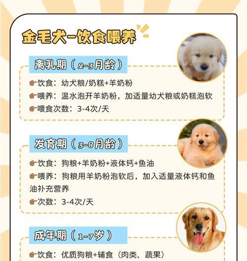 金毛配种后多久可以看出怀孕情况(从交配到妊娠,金毛犬的孕育周期及可观察的体征)(图3) 金毛配种后多久可以看出怀孕情况(从交配到妊娠,金毛犬的孕育周期及可观察的体征)(图3)