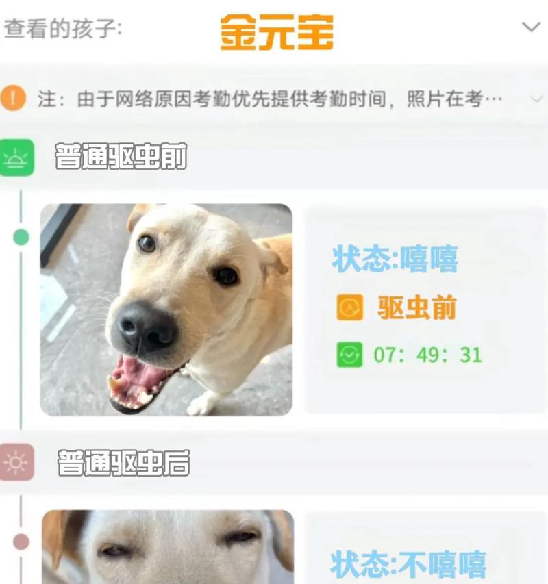 小狗到家后多久能进行驱虫？（小狗驱虫的最佳时间及注意事项）(图3)