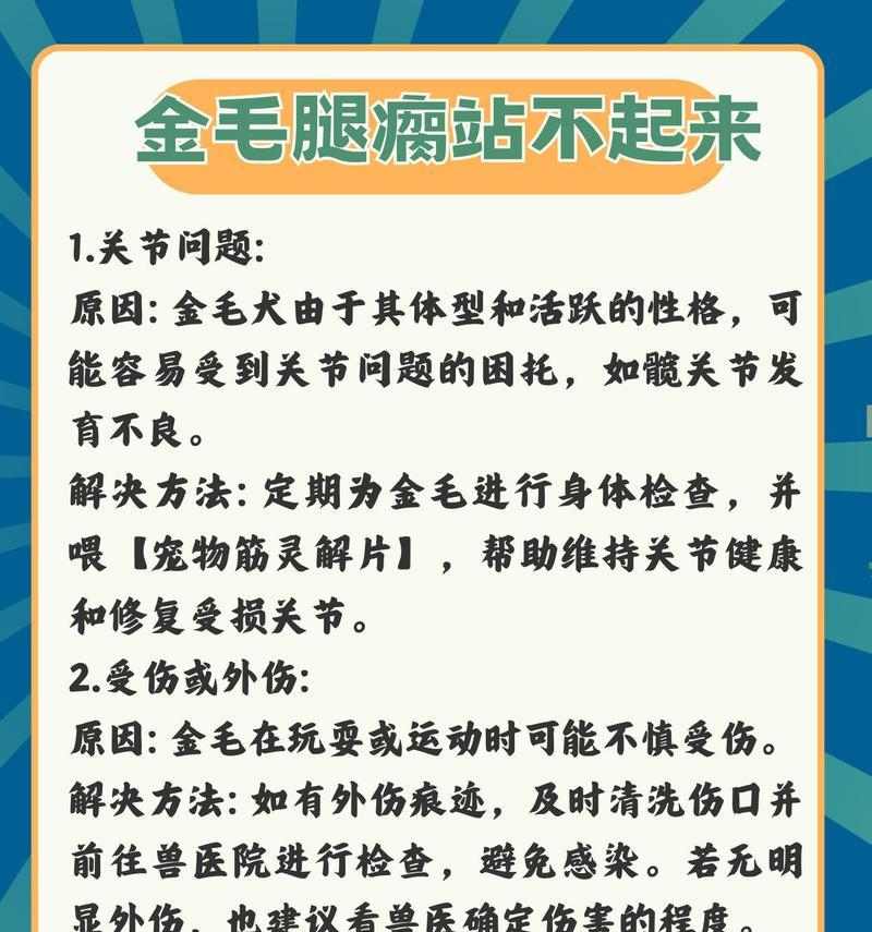 养金毛需注意的事项（宠物金毛养护指南） - 辰飞雨新生家伴