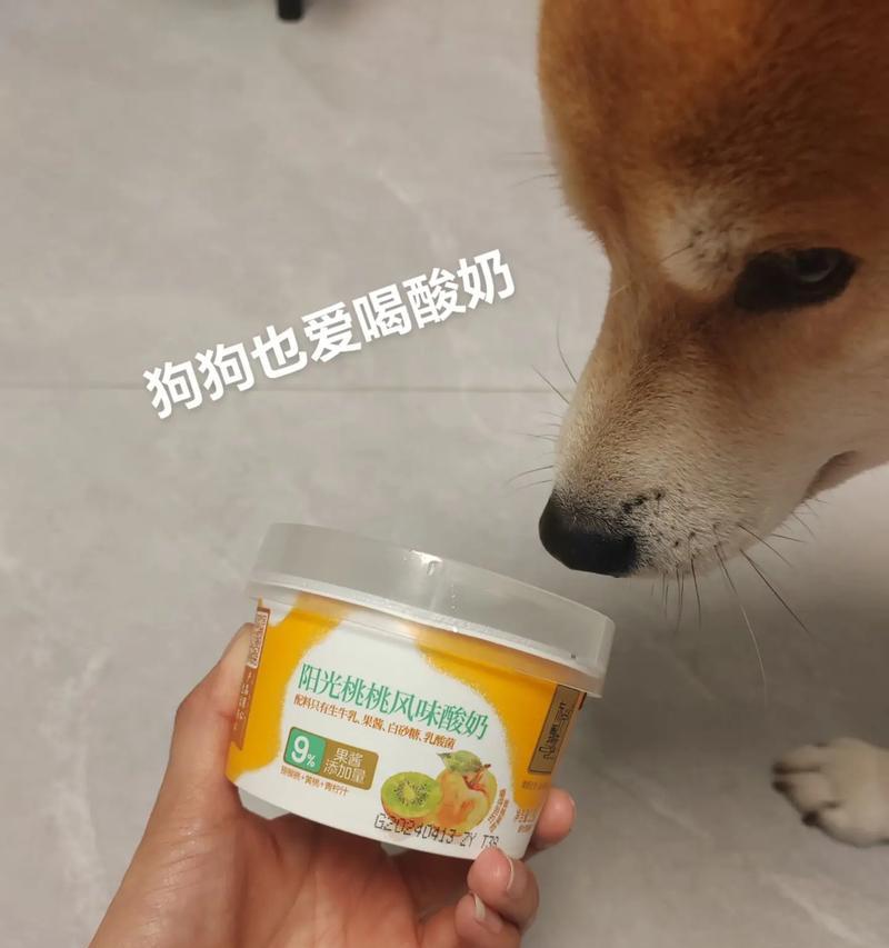 酸奶（给你的狗喝酸奶吧，让它健康活力） - 辰飞雨新生家伴