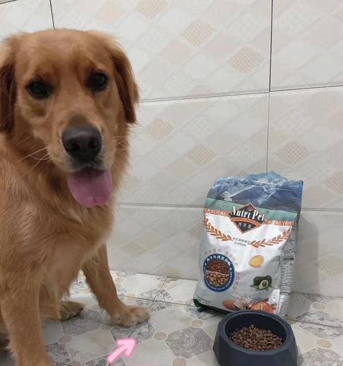 狗粮没开封能放多久？（了解狗粮保质期的重