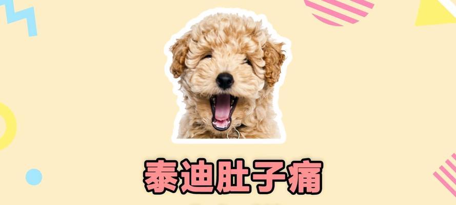 狗狗胀气的表现及处理方法（了解狗狗胀气的常见症状，保护它们的健康）(图2)