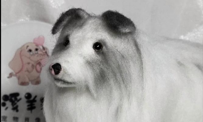 小狗长毛时间分析（了解小狗什么时候开始长毛？长毛需要多久？）(图1)