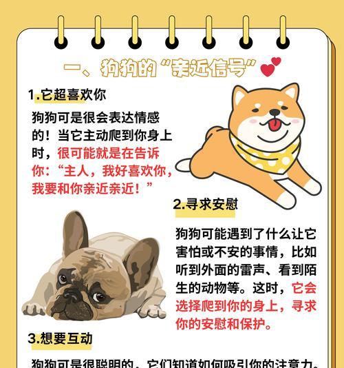 狗熟悉主人需要多长时间？（揭开狗熟悉主人的神秘面纱） - 辰飞雨新生家伴