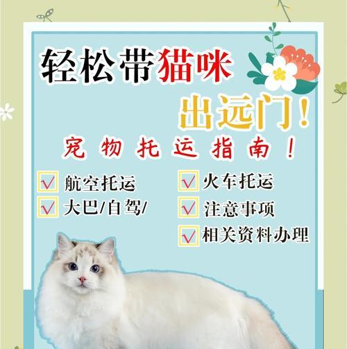 猫咪托运的费用和交通工具选择（了解猫咪托运的费用和可选交通工具，为宠物旅行提供便利）(图2)