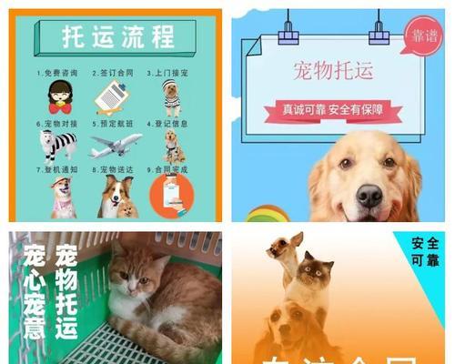 猫咪托运的费用和交通工具选择（了解猫咪托运的费用和可选交通工具，为宠物旅行提供便 - 辰飞雨新生家伴
