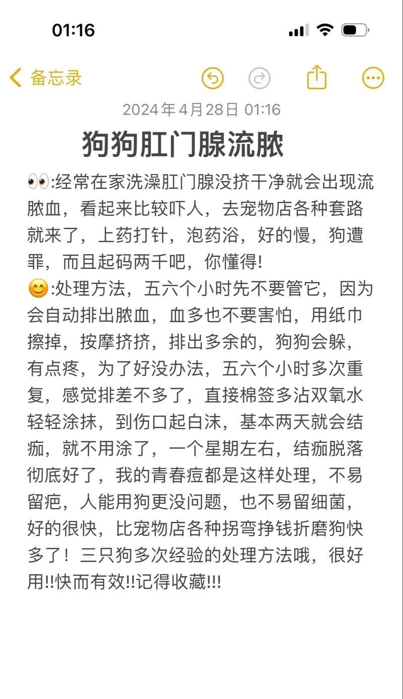 狗的腺肛门清理(探讨狗狗腺肛门清理的频率及注意事项)(图3) 狗的腺肛门清理(探讨狗狗腺肛门清理的频率及注意事项)(图3)