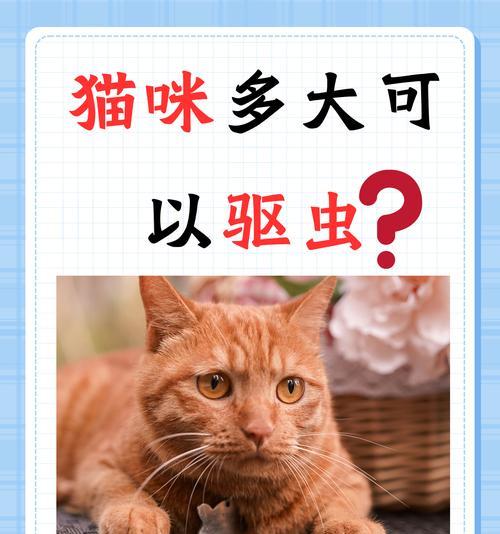 如何自己给宠物猫咪做驱虫（以铲屎官为主，轻松做好猫咪的驱虫工作）(图1)