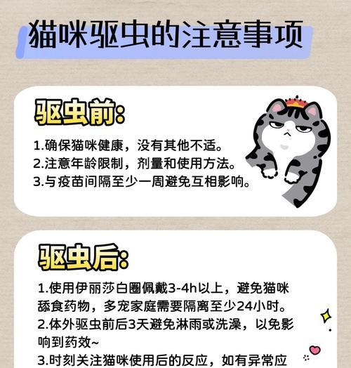 如何自己给宠物猫咪做驱虫（以铲屎官为主，轻松做好猫咪的驱虫工作）(图2)