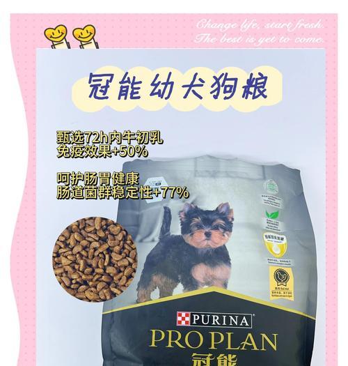 金毛吃狗粮长得快不快？（探究金毛犬只是否需特殊饮食及狗粮是否有助于其成长）(图1)