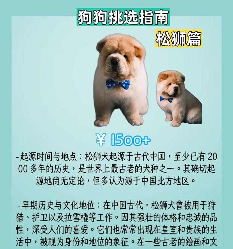 成犬松狮的每日狗粮摄入量（如何科学合理地喂养您的松狮）(图2)