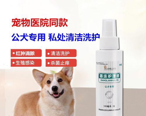 狗狗鸡鸡出来红,走进人们的心灵(狗狗鸡鸡展现真实可爱,传递温暖和快乐)(图1) 狗狗鸡鸡出来红,走进人们的心灵(狗狗鸡鸡展现真实可爱,传递温暖和快乐)(图1)