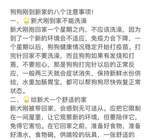 狗狗发烧的预防与护理（全面了解狗狗发烧的症状和处理方法，让你的宠物健康无忧）(图2)
