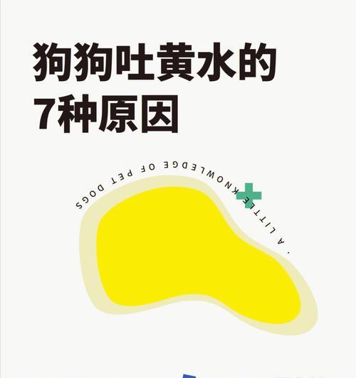 小狗的肠胃不能吃的食物（了解宠物食品安全，保护小狗肠胃健康）(图1)
