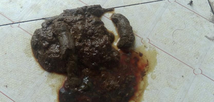 小狗的肠胃不能吃的食物（了解宠物食品安全，保护小狗肠胃健康）(图2)