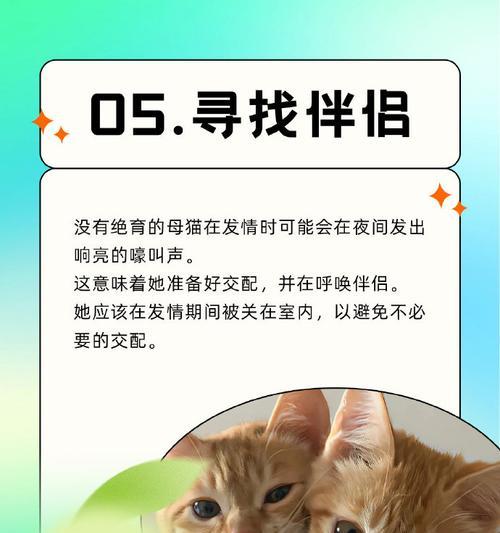 猫咪为何不停地叫？（揭秘猫咪叫声背后的奥秘）(图3)